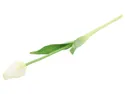 BRW Одинарный прорезиненный тюльпан белого цвета 092565 фото thumb №1