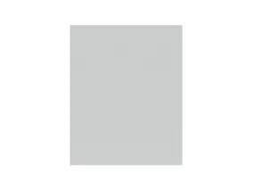 BRW Боковая панель Top Line 72 см светло-серая матовая, светло-серый матовый TV_PA_D_/72-BRW0014 фото