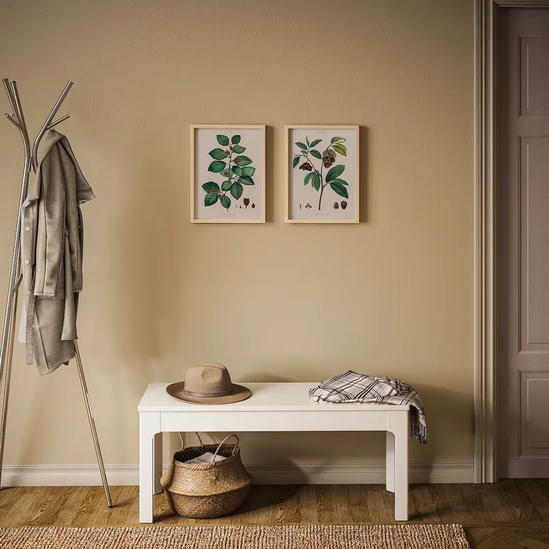 IKEA BILD БИЛЬД, постер, Ботаническое исследование II, 30x40 см 204.469.34 фото №2