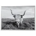 IKEA BJÖRKSTA БЬЙОРКСТА, картина з рамкою, цікава корова / срібло, 140x100 см 095.089.14 фото thumb №1