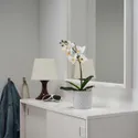 IKEA FEJKA ФЕЙКА, штучна рослина в горщику, Орхідея білий, 9 см 002.859.08 фото thumb №2