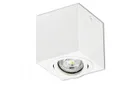 BRW Светильник для поверхностного монтажа Поверхность алюминиевая белая 085929 фото thumb №1