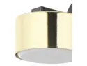 BRW Металлический настенный светильник Dallas черный и золотой 087833 фото thumb №2