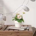 IKEA FEJKA ФЕЙКА, искусственное растение в горшке, комнатная / открытая / Пеларгония светло-розовая, 9 см 705.716.85 фото thumb №3