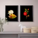 IKEA BILD БІЛЬД, постер, Flora Delanica I, 40x50 см 004.469.25 фото thumb №3