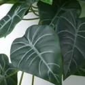 IKEA FEJKA ФЕЙКА, искусств растение с настенн держат, внутренний / наружный / зеленый / сиреневый 305.486.25 фото thumb №7