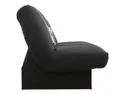BRW Тримісний розкладний диван Fina з ящиком для зберігання чорний, Савана 14 WE-FINA-3K-G2_B85471 фото thumb №3