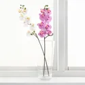 IKEA SMYCKA СМЮККА, штучна квітка, Орхідея / білий, 60 см 803.335.85 фото thumb №2