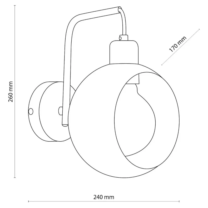 BRW Настенный светильник для столовой Cyclop 2750 TK Lighting в форме металлического шара 072740 фото №5