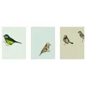 IKEA BILD БІЛЬД, постер, Міські птахи I, 30x40 см 504.361.70 фото thumb №1