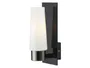 BRW Настенный светильник для ванной комнаты из металлического стекла Brastad белый и черный 073659 фото