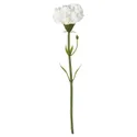 IKEA SMYCKA СМИККА, цветок искусственный, гвоздика / белый, 30 см 203.335.88 фото thumb №1