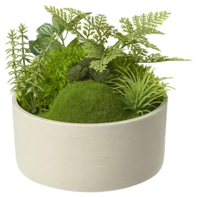 IKEA FEJKA ФЕЙКА, искусственное растение в горшке, мох, 15 см 505.716.72 фото
