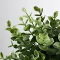 IKEA FEJKA ФЕЙКА, искусственное растение в горшке, орегано, 9 см 103.751.59 фото thumb №3