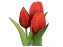 BRW тюльпаны в пучках 20 см 3 шт прорезиненные красные 090937 фото thumb №2