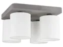 BRW Ніжний 4-точковий бетонний стельовий світильник біло-сірого кольору 073927 фото thumb №1