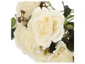 BRW букет троянд білий 090083 фото thumb №2
