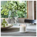 IKEA ADLAD АДЛАД, ароматическая свеча в стакане, Скандинавские породы дерева / белый, 20 часов. 505.021.03 фото thumb №3