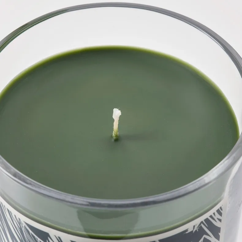 IKEA JÄMTSKOGEN ЄМТСКОГЕН, ароматизована свічка у склянці, кипарис і евкаліпт / темно-зелений, 45 годин. 905.524.26 фото №7