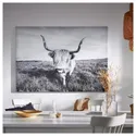 IKEA BJÖRKSTA БЬЙОРКСТА, картина з рамкою, цікава корова / срібло, 140x100 см 095.089.14 фото thumb №3