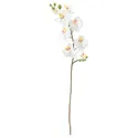 IKEA SMYCKA СМИККА, цветок искусственный, Орхидея / белый, 60 см 803.335.85 фото thumb №1