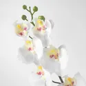 IKEA SMYCKA СМЮККА, штучна квітка, Орхідея / білий, 60 см 803.335.85 фото thumb №3