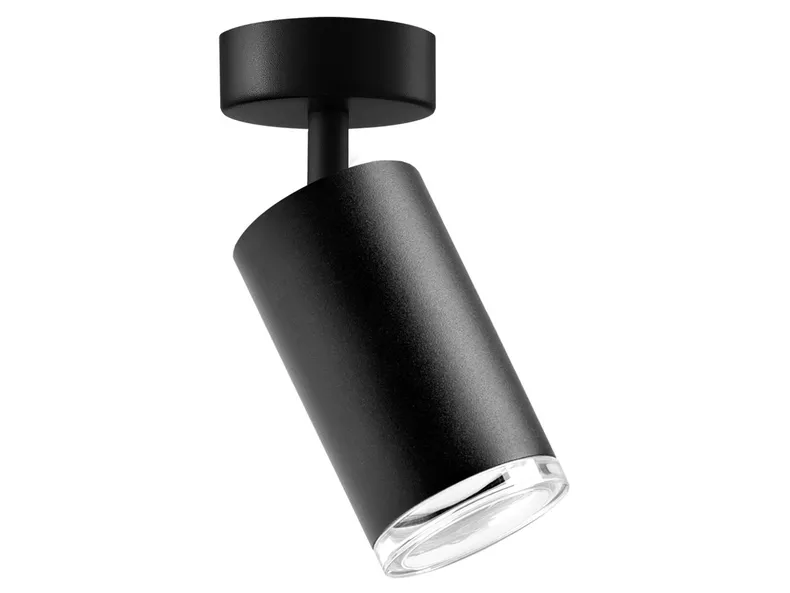 BRW Потолочный светильник для ванной комнаты Turin spot aluminium black 093312 фото №1