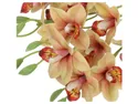 BRW букет орхідей 40 см 3 шт великоквіткових 090914 фото thumb №2
