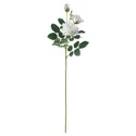 IKEA SMYCKA СМЮККА, штучна квітка, для приміщення / вулиці / Троянда білий, 65 см 905.601.48 фото thumb №1