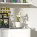IKEA FEJKA ФЕЙКА, искусственное растение в горшке, внутренний / внешний / белый супруг, 12 см 305.716.87 фото thumb №3