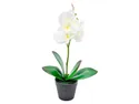 BRW искусственная орхидея в горшке 080081 фото thumb №1
