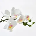 IKEA FEJKA ФЕЙКА, искусственное растение в горшке, Орхидея белый, 9 см 002.859.08 фото thumb №3