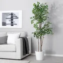 IKEA FEJKA ФЕЙКА, искусственное растение в горшке, комнатный / открытый Плакучая фига, 21 см 704.915.75 фото thumb №2