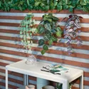 IKEA FEJKA ФЕЙКА, штучна рослина з настінним кріпл, для приміщення / вулиці / зелений / бузковий 305.486.25 фото thumb №3