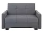 BRW Двухместный диван-кровать BRW BADO с ящиком для хранения, велюровый серый SO-BADO-2FBK-G2_BBA408 фото
