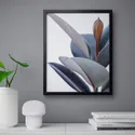 IKEA BILD БИЛЬД, постер, Горшечное растение - Зей, 40x50 см 804.420.75 фото thumb №2