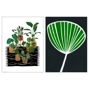 IKEA BILD БИЛЬД, постер, горшечные растения, 30x40 см 105.334.46 фото