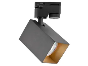 BRW Квадратный алюминиевый прожектор черного цвета 093336 фото