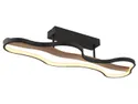 BRW Потолочный светодиодный светильник Bezzy с пультом дистанционного управления черный 091496 фото thumb №1