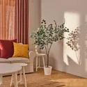 IKEA FEJKA ФЕЙКА, штучна рослина в горщику, кімнатний/вуличний евкаліпт, 19 см 605.825.14 фото thumb №2