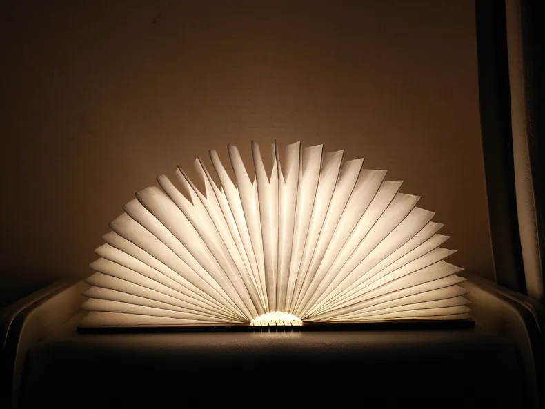 BRW Booklight, декоративная настольная лампа 076534 фото №2