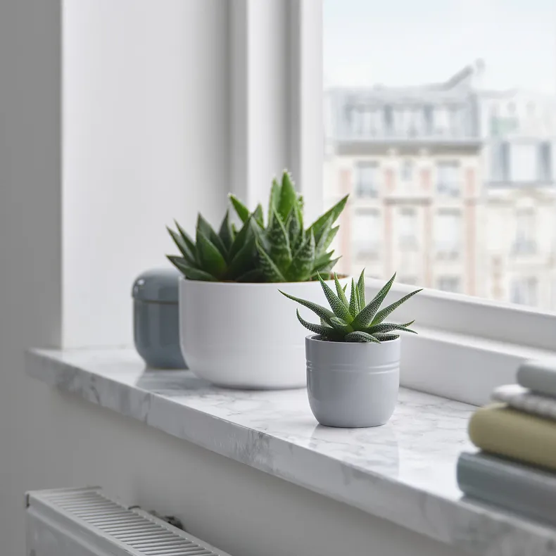 IKEA SUCCULENT, растение с горшком, Суккуленты разных цветов, 6 см 105.986.83 фото №4