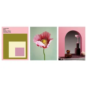 IKEA BILD БІЛЬД, постер, лаелія рожева, 40x50 см 905.549.63 фото