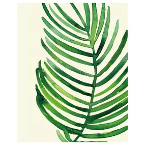 IKEA BILD БИЛЬД, постер, Лист тропической пальмы II, 40x50 см 704.420.71 фото