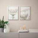 IKEA BILD БІЛЬД, постер, квітковий мотив, 30x40 см 604.418.02 фото thumb №2
