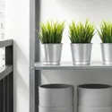 IKEA FEJKA ФЕЙКА, штучна рослина в горщику, для приміщення/вулиці трава, 9 см 004.339.42 фото thumb №3