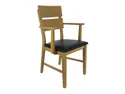 BRW М'яке крісло Verde з підлокітниками з екошкіри чорного кольору TXK_VERDE_P-TX099-1-FMIX70-SAHARA_16_BLACK фото thumb №1
