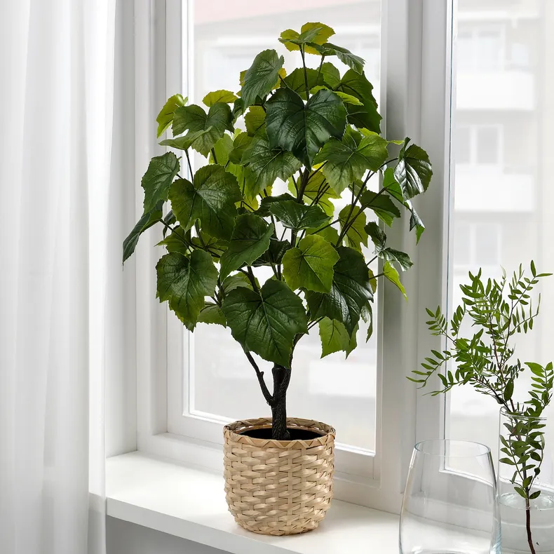 IKEA FEJKA ФЕЙКА, искусственное растение в горшке, комнатная / открытая японская лоза, 15 см 004.933.42 фото №2