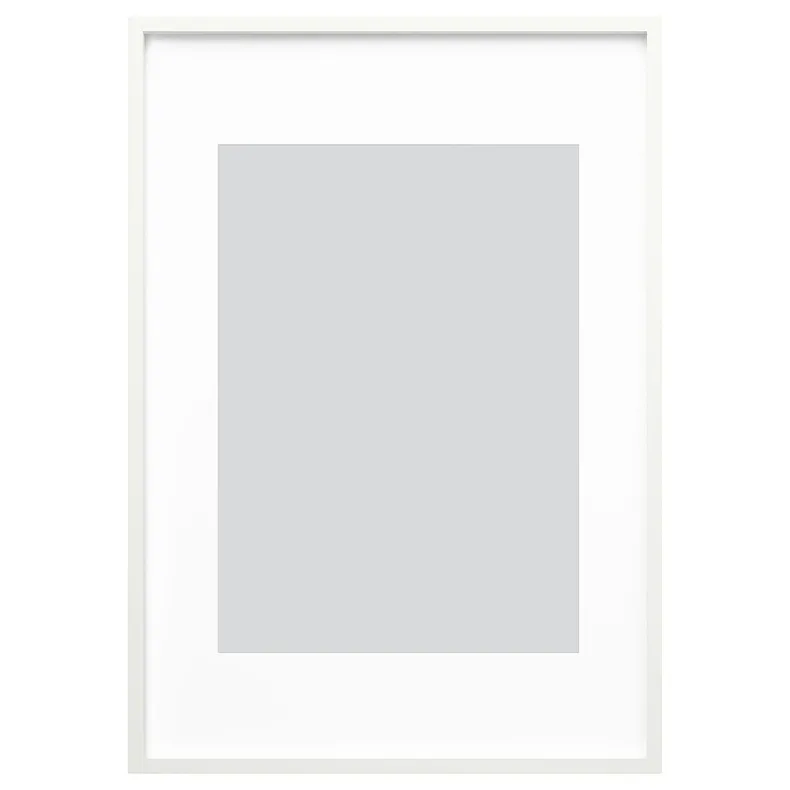 IKEA RÖDALM РЕДАЛЬМ, рамка, білий, 70x100 см 805.489.44 фото №1