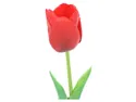 BRW тюльпан одиночный 085748 фото thumb №3